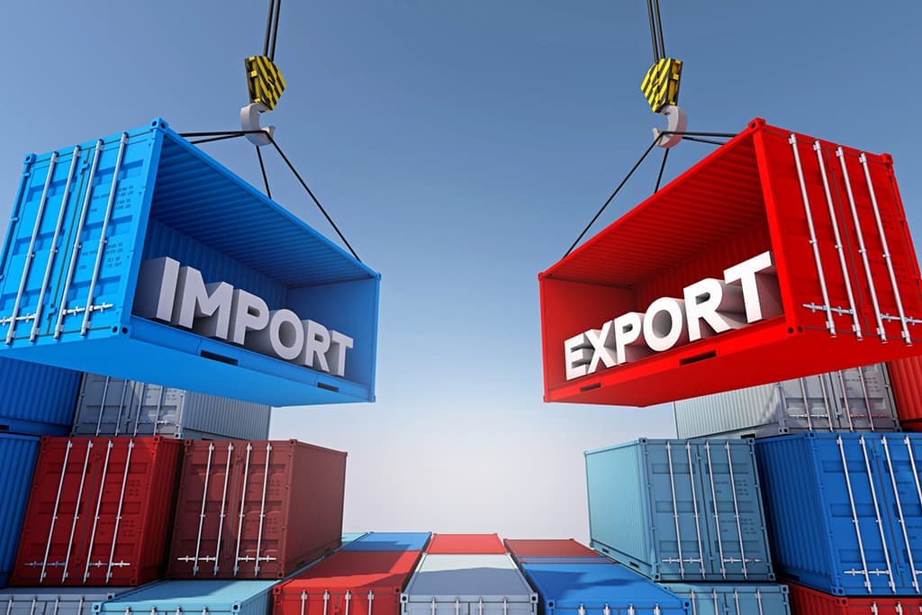 Import Export License in Jaipur