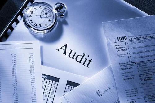 NGO Audit in India