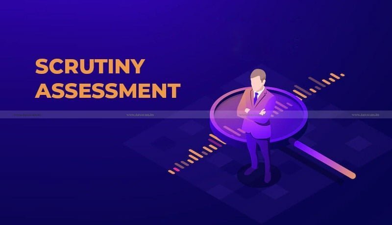 Scrutiny Assessement