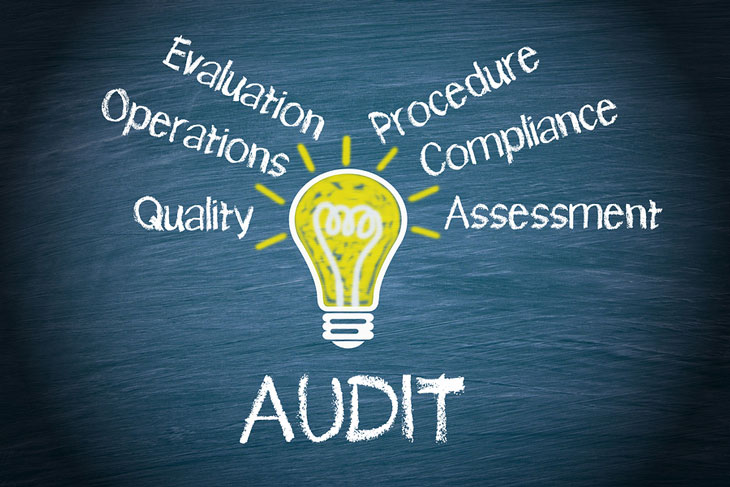 process audit