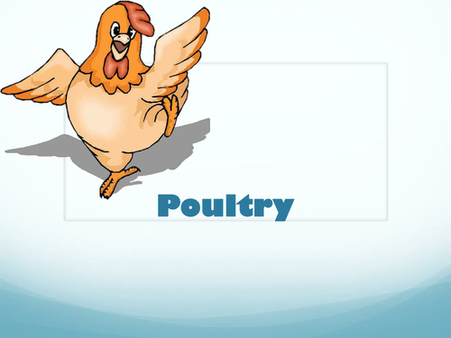 GST Implication on Poultry Farming