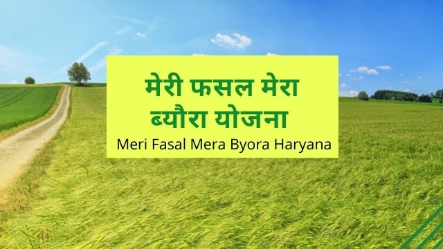 Meri Fasal Mera Byora