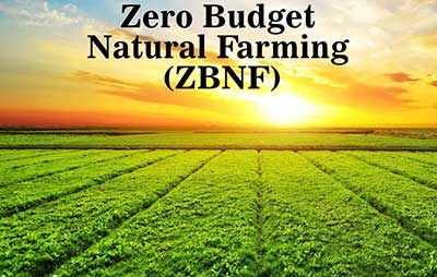 Zero Budget Natural Farming