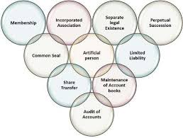 Features of a Company