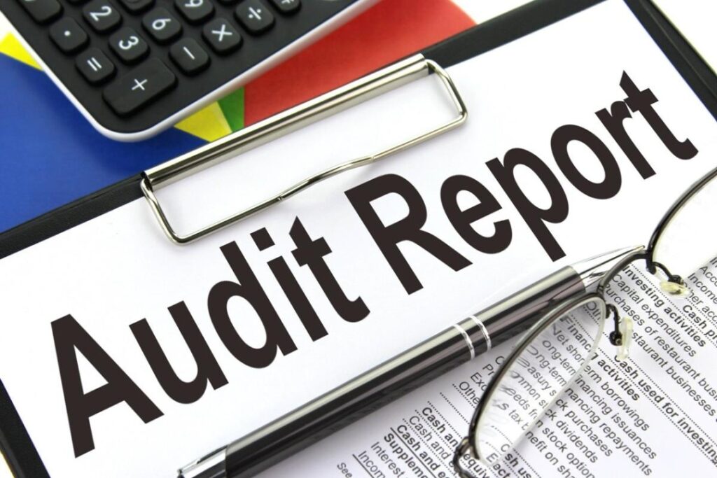 Auditor's Report