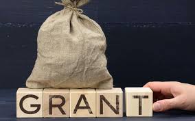 prime minister early career research grant
