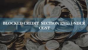 section 17(5) of cgst act