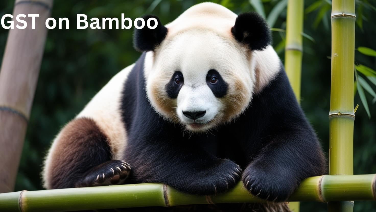 GST on Bamboo